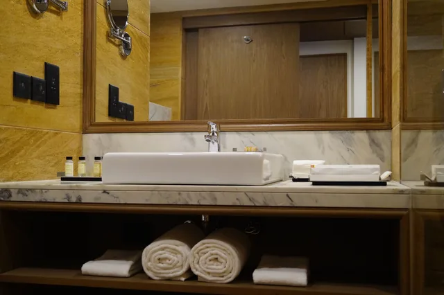 Deluxe, King Bed, City or Park View، Mosaic Mussoorie 3/3