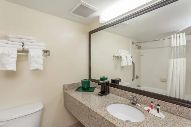 غرفة بسرير كينج بغرفة نوم واحدة لذوي الإعاقة، Baymont by Wyndham Fort Myers Airport 3/3