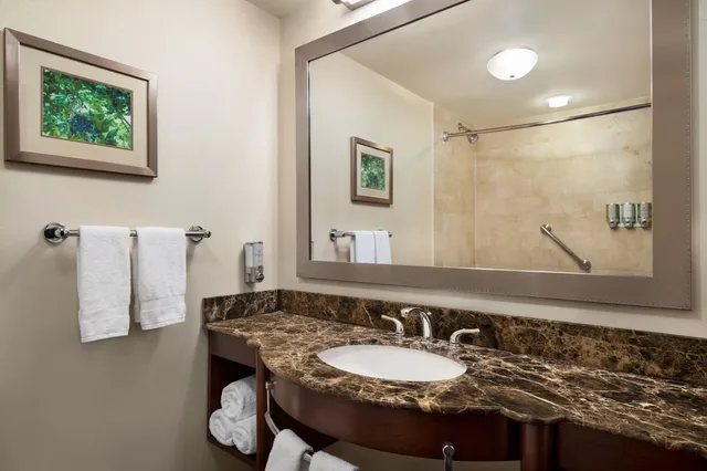 غرفة بسريرين مزدوجين، Viana Hotel and Spa, Trademark Collection by Wyndham 2/2