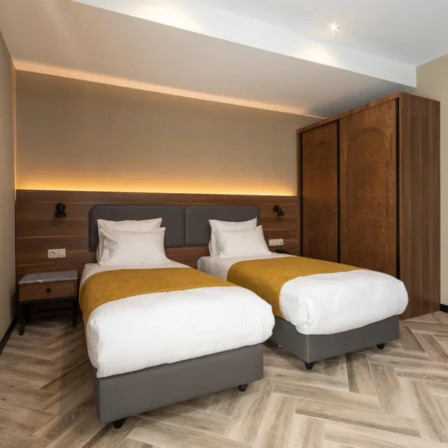 Standard, Twin Beds, Komorebi Bakuriani Resort 1/6