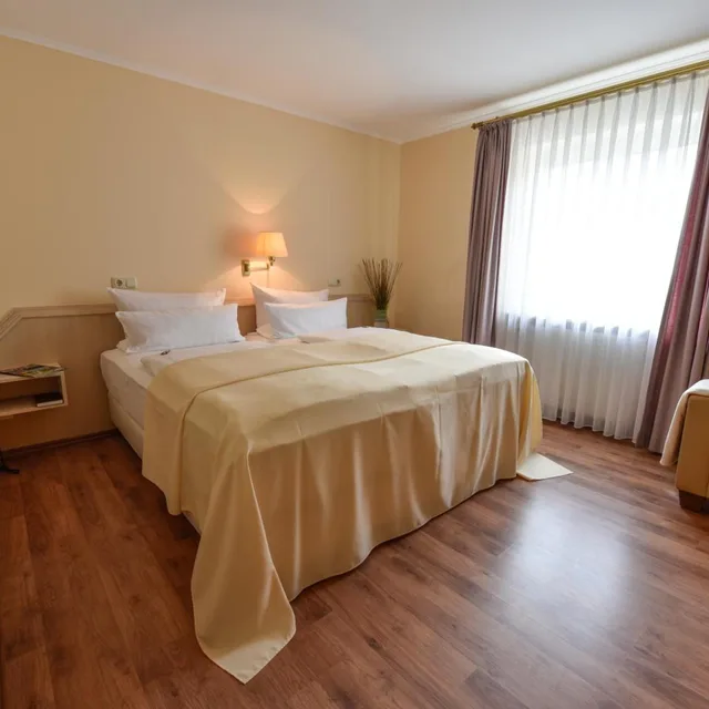 غرفة قياسية بسرير مزدوج، Atrium Hotel Amadeus 2/9