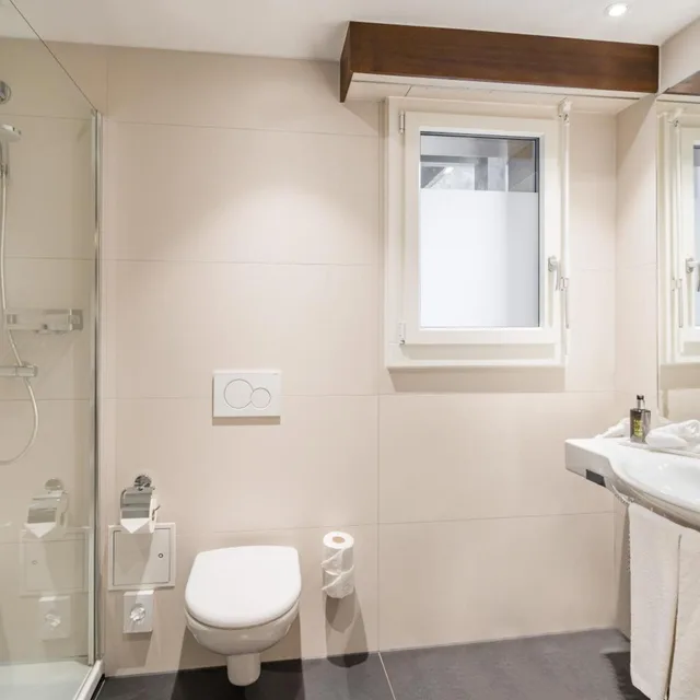 Room, Double Bed, Street View, Seehotel Pilatus 2/3