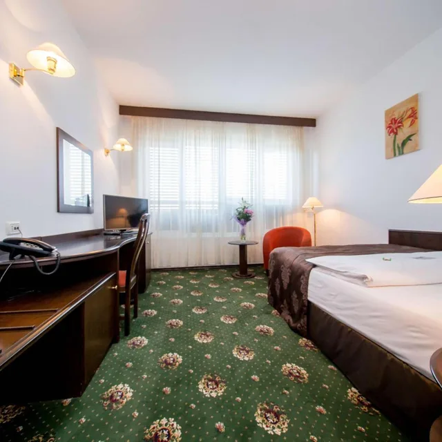 Standard, Single, Best Western Central Hotel 4/10
