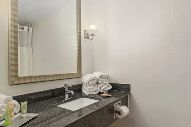 Junior Suite, King Bed, Sofa, Wyndham Garden Norfolk Downtown 8/10