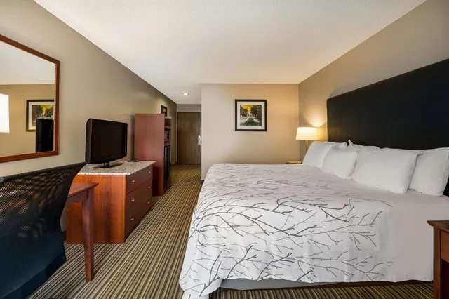 غرفة بسرير كينج بحوض استحمام لذوي الإعاقة، Best Western Park Oasis Inn 1/3