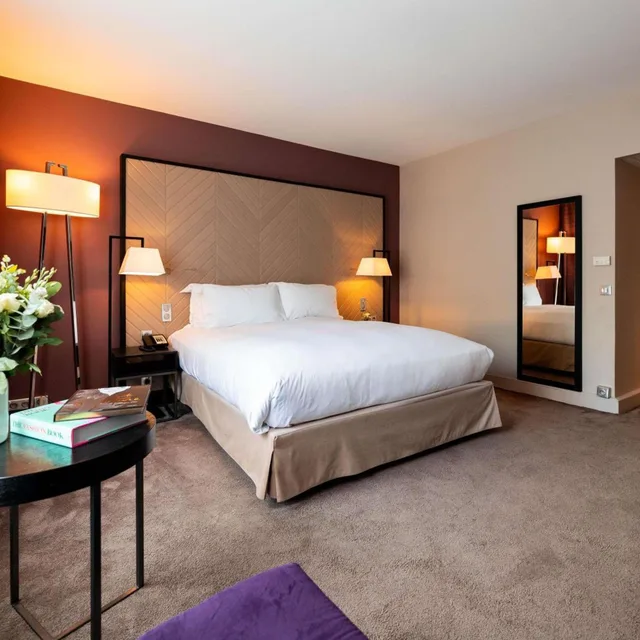 غرفة فاخرة بسرير كينج بإطلالة لذوي الإعاقة، Sofitel Strasbourg Grande Ile Hotel 3/10