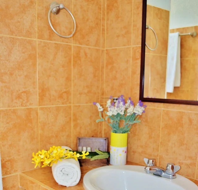 1 Bedroom, Deluxe, Suite, Partial Ocean View, Kitchen, Corales Suites 7/8