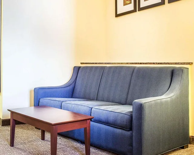 Suite, King Bed, Comfort Suites Rock Hill Manchester Meadows Area 2/3