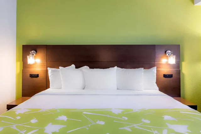 غرفة بسرير كينج، Radisson Hotel Grand Rapids Riverfront 4/5
