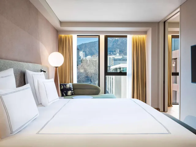 جناح بسرير كينج، Swissotel Tbilisi 1/3