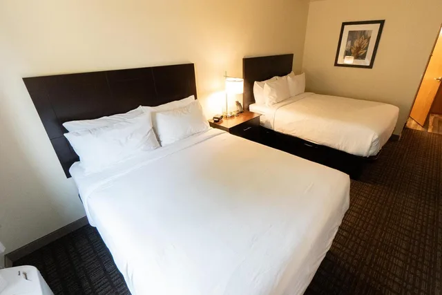 Standard, Queen Bed, Cobblestone Hotel & Suites-Sheldon 2/6