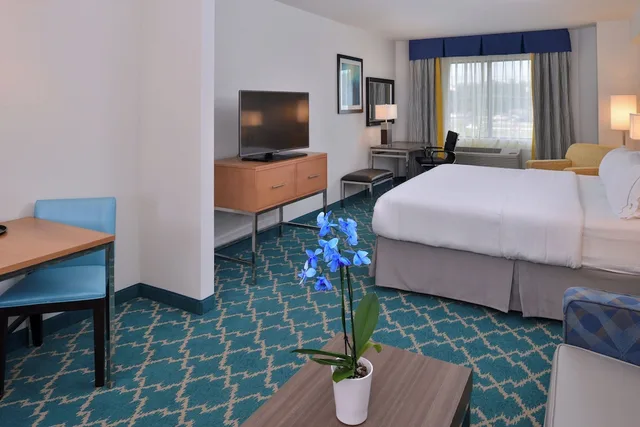 Suite, King Bed, Sofa, Accessible, Holiday Inn Express & Suites West Ocean City 2/4