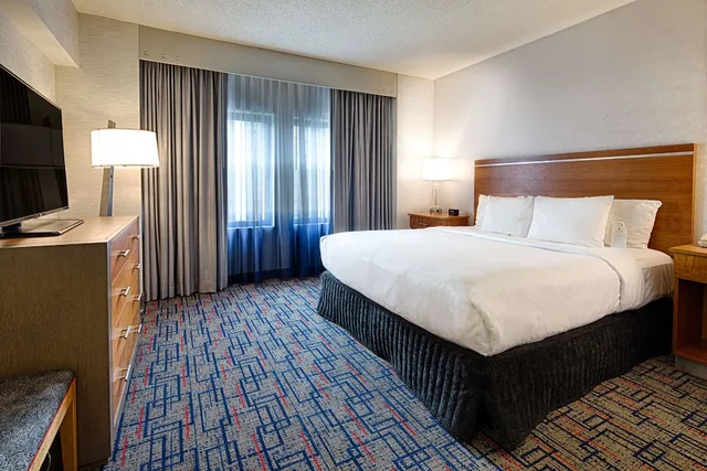 جناح أساسي بسرير كينج لذوي الإعاقة، Embassy Suites by Hilton Chicago O'Hare Rosemont 1/3