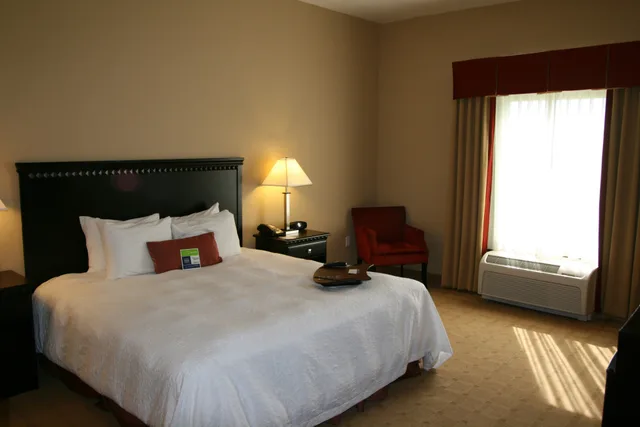 غرفة بسرير كينج، Hampton Inn Dade City Zephyrhills Fl 1/1