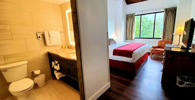 غرفة قياسية بسرير كينج، Unicoi State Park Lodge 4/5