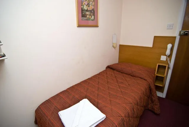 غرفة قياسية مفردة، Seymour Hotel 1/1