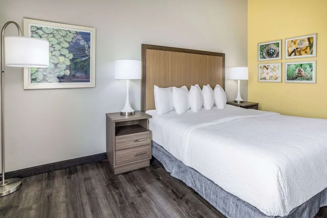 غرفة بسرير كينج لذوي الإعاقة، La Quinta Inn and Suites by Wyndham Valdosta 3/6