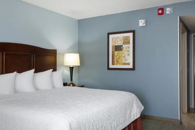 غرفة بسرير كينج لذوي الإعاقة، Hampton Inn Denver-International Airport 1/4