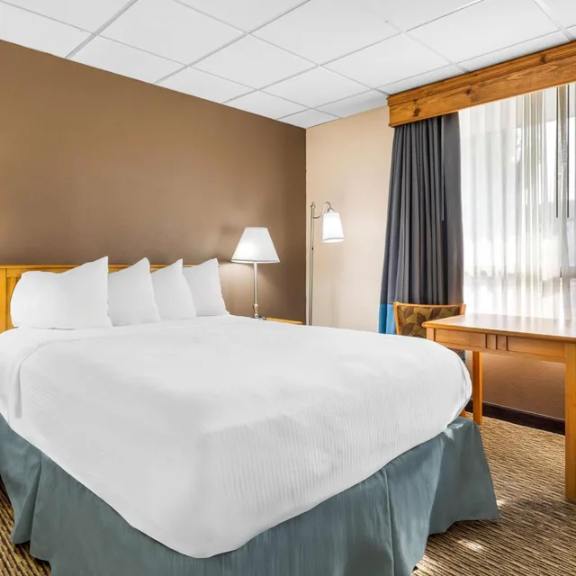 جناح بسرير كوين بغرفتي نوم، Best Western Lee's Motor Inn 4/10