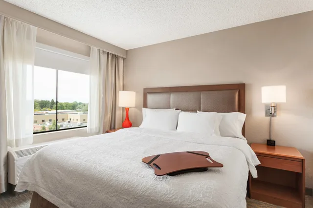 Suite, King Bed, Mountain View, Sofa, Balcony, Hampton Inn & Suites Denver-Cherry Creek 1/2