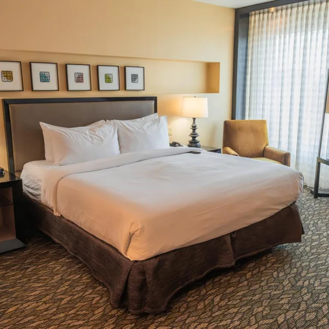 Deluxe, King Bed, Ballys Evansville Casino And Hotel 1/1