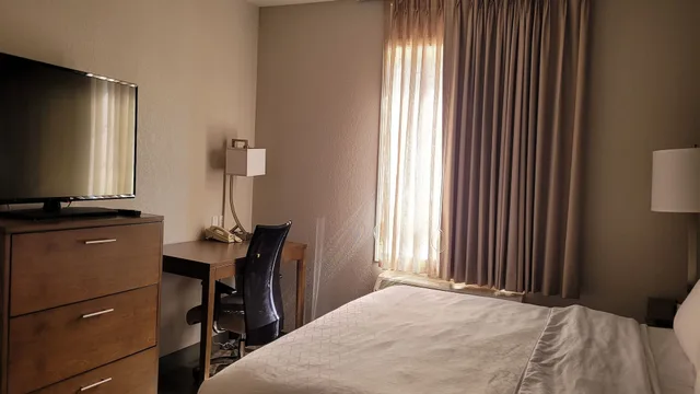 جناح بسريرين كينج بغرفتي نوم مع أريكة بمطبخ لذوي الإعاقة، Staybridge Suites Hotel Calgary Airport 6/10