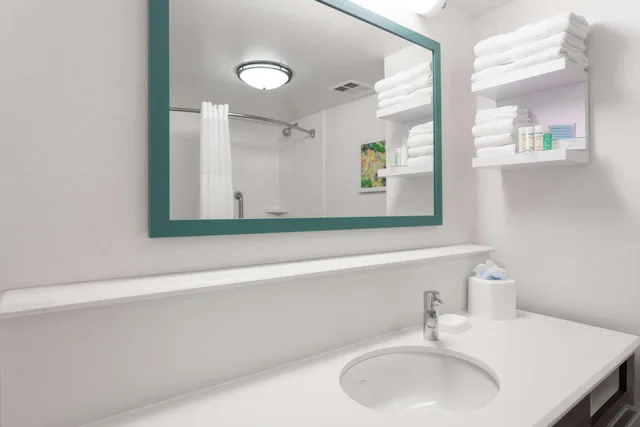 غرفة بسرير مزدوج لذوي الإعاقة، Hampton Inn Orlando International Drive/Convention Center 2/3
