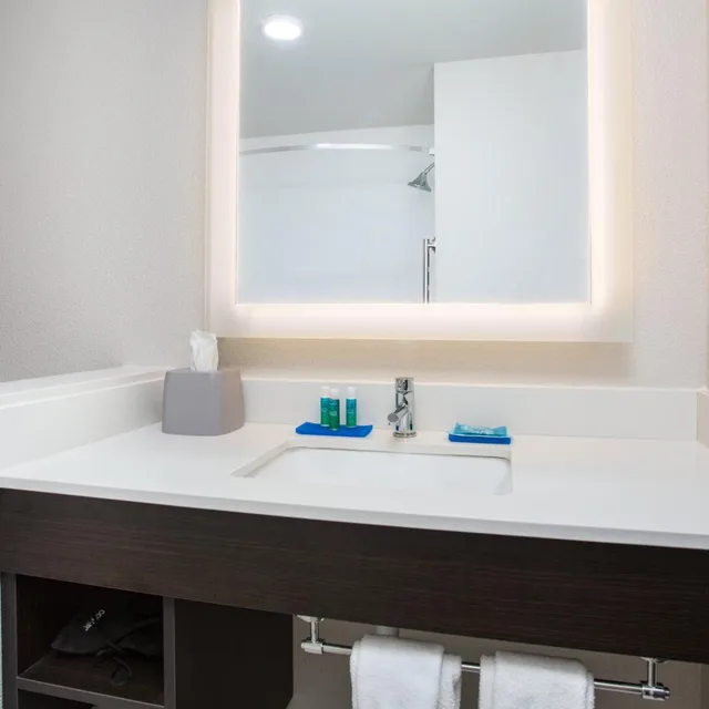 Standard, 2 Queen Beds, Bathtub, Accessible, HOLIDAY INN EXPRESS & SUITES RAPID CITY - RUSHMORE SOUTH 6/6