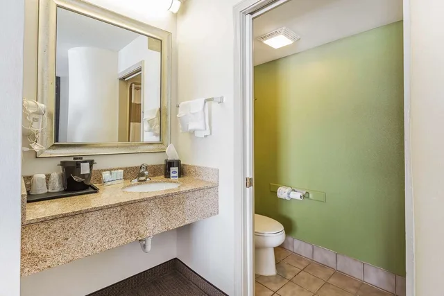 Room, King Bed, Sleep Inn Gaffney At I-85 6/6