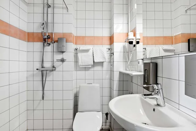 غرفة اقتصادية بسرير فردي، Best Western Hotel Statt Katrineholm 3/3