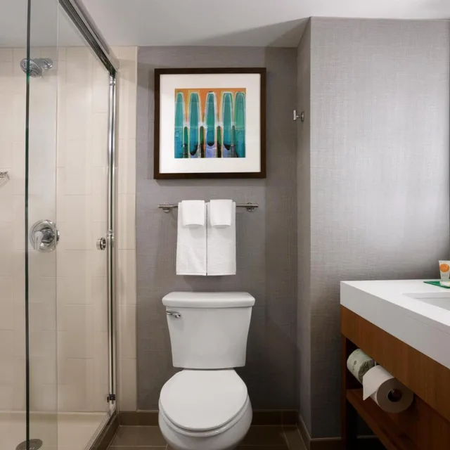 جناح بسرير كينج لذوي الإعاقة، Hyatt Place Minneapolis Downtown 2/2