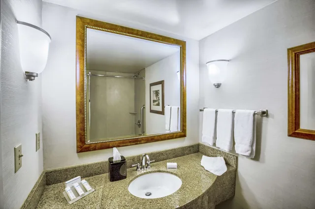 جناح بريميوم بسرير كينج لذوي الإعاقة، Hilton Garden Inn Kent Island Marina 7/7