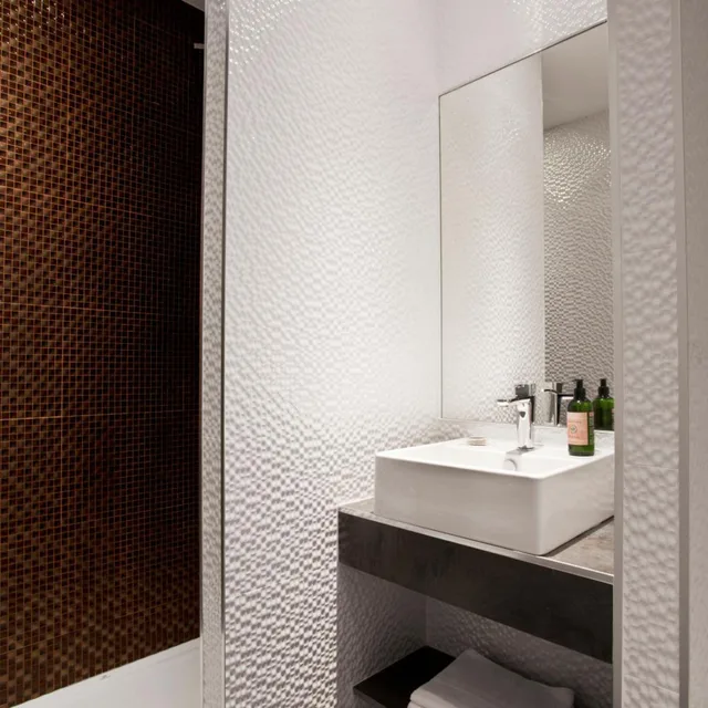 غرفة كلاسيكية مفردة بسرير مزدوج، Hotel Des Savoies Lyon 6/7