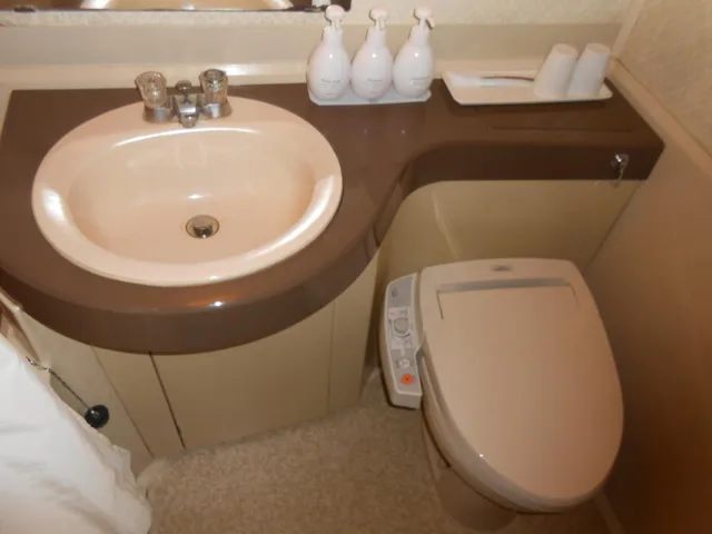 غرفة يابانية بسريرين منفصلين للمدخنين، Select Inn Fujisan Gotemba 6/7