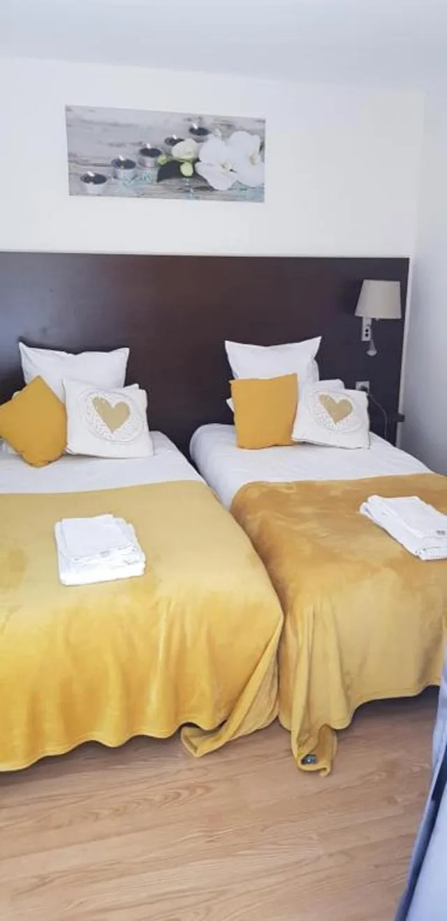 غرفة سوبيريور بسريرين منفصلين، Hotel Le Saint - Patrice 2/4