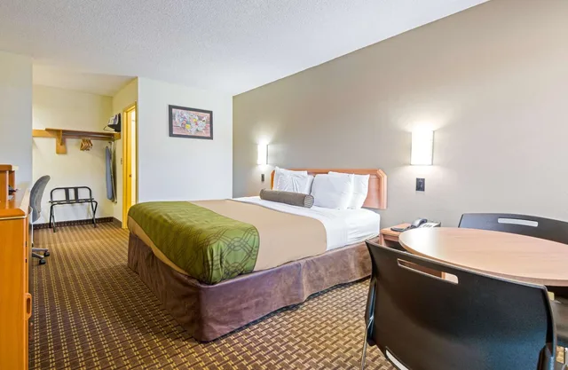 1 King Bed - Non-Smoking, Micfridge، Motel6 Portland, OR – Southeast 4/6
