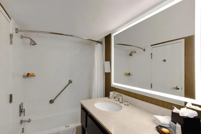 City, Suite, King Bed, Sofa, Accessible، Hotel Tampa Riverwalk 4/4