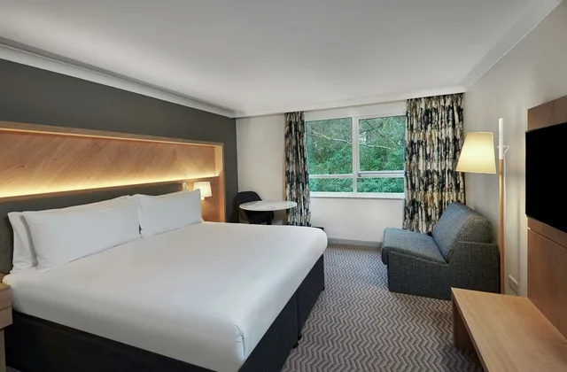 غرفة تنفيذية بسرير كينج مع أريكة بحوض استحمام، Hilton Cobham 2/4