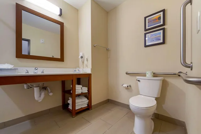 جناح بسرير كينج لذوي الإعاقة، Comfort Suites La Vista - Omaha 4/5