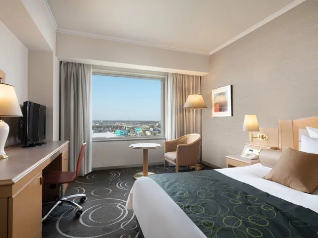 غرفة كومفورت مفردة، Ana Crowne Plaza Chitose 1/2