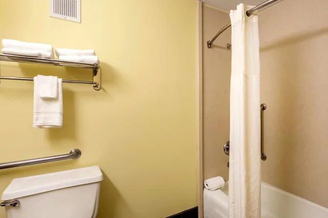 غرفة قياسية بسرير كينج للمدخنين، Quality Inn and Suites Baton Rouge West Port Allen 9/9