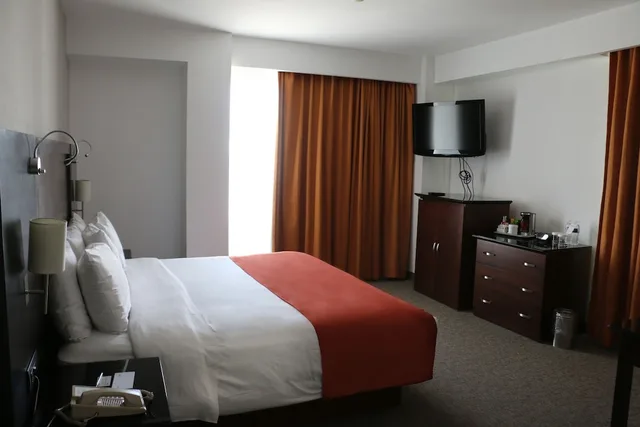 Room, King Bed, Sheraton Leon 2/2