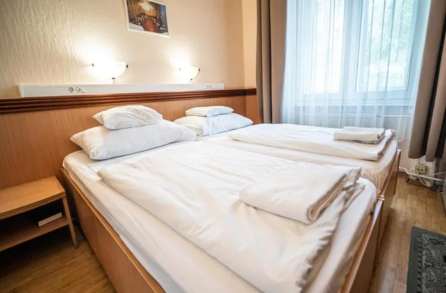 غرفة اقتصادية بسرير مزدوج أو سريرين منفصلين، Tisza Hotel 2/8