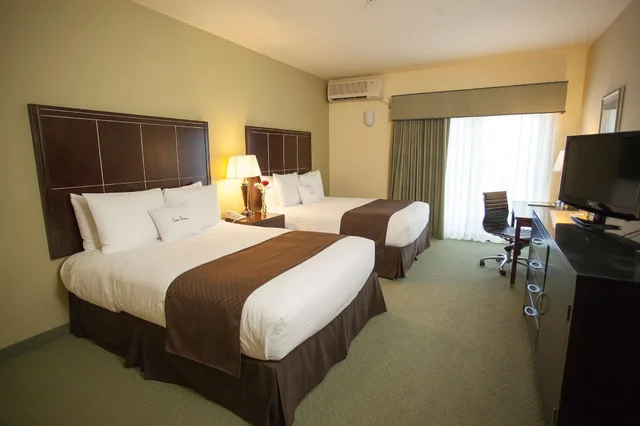 غرفة لذوي الإعاقة، DoubleTree by Hilton Napa Valley American Canyon 2/3