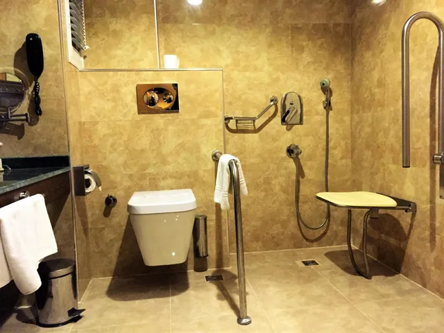 غرفة بسرير مزدوج أو سريرين منفصلين لذوي الإعاقة، Neba Royal Hotel 3/3