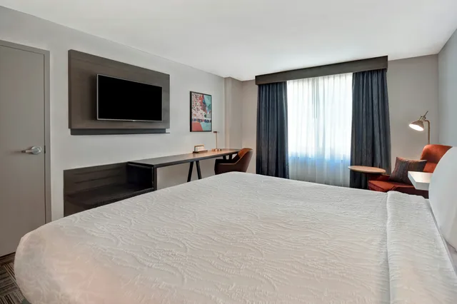 غرفة بسرير كينج لذوي الإعاقة، Hilton Garden Inn Houston/Galleria Area 2/3