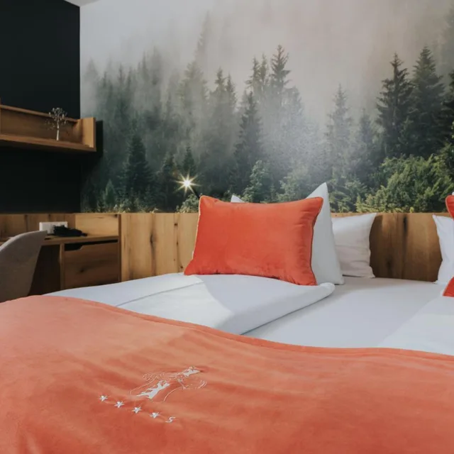 جناح جونيور، Hotel Drei Quellen Therme 6/9