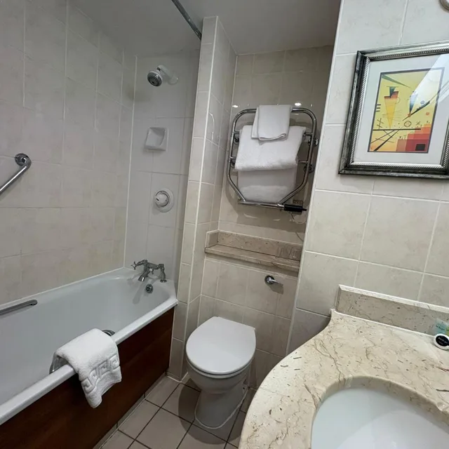Executive, Double Bed, with Pool، Apollo Hotel Basingstoke 6/6