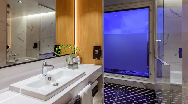 غرفة ديلوكس مزدوجة، Clarion Hotel Aviapolis 9/10