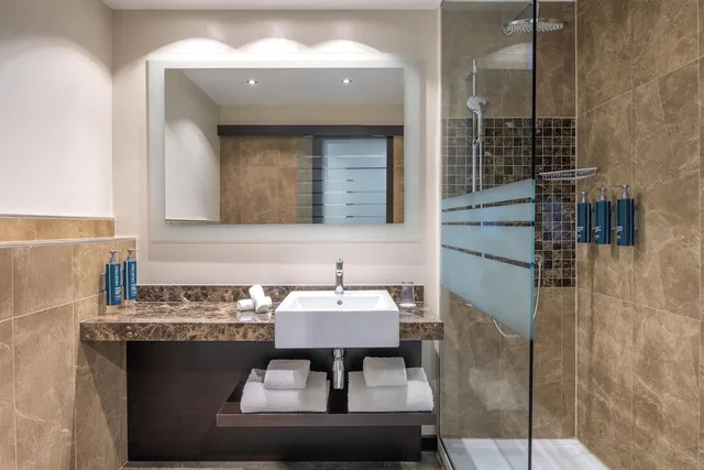 غرفة بسرير كينج، Hilton Geneva Hotel and Conference Centre (EX-Starling E EX-Crowne) 16/16